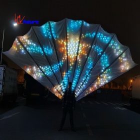 LED peacock tail fan back frame