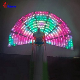 Full color luminous peacock fan